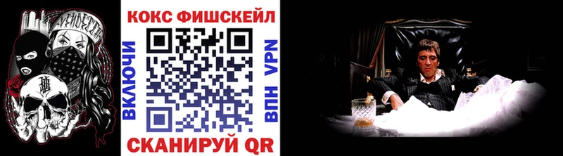 купить закладку  Славск  COCAIN FishScale 