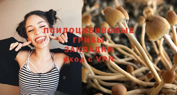 ALPHA PVP Алзамай