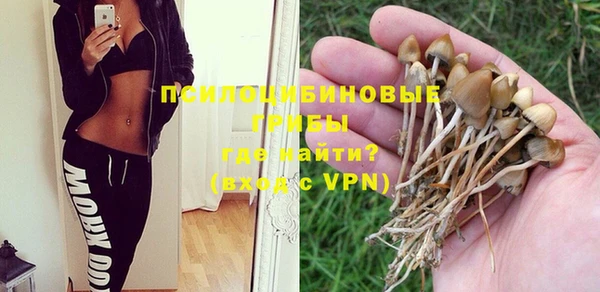 соль курить ск Алексин