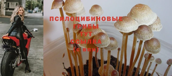 соль курить ск Алексин