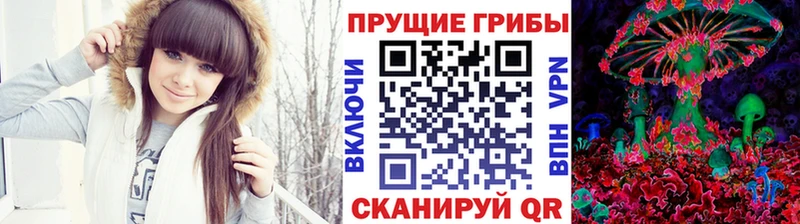 закладка  Славск  Галлюциногенные грибы Psilocybe 